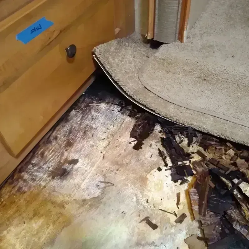 Wood Floor Water Damage in Mound City, IL